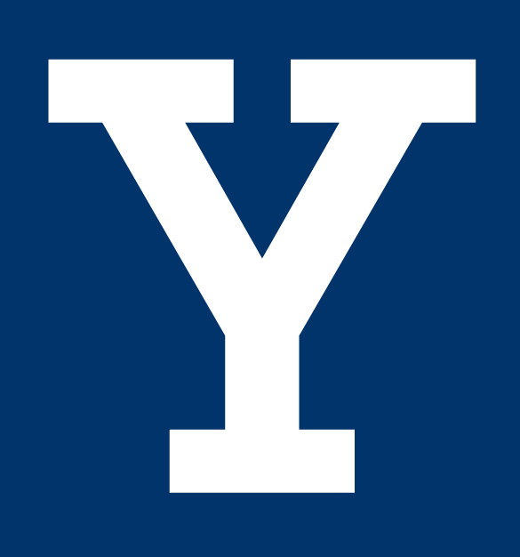 Yale Bulldogs 0-Pres Alternate Logo v2 iron on transfers for fabric